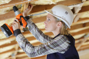 tradeswomen