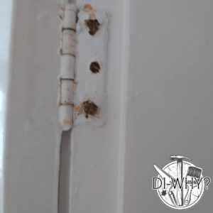 diy disaster