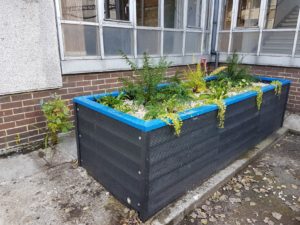 SuDS application