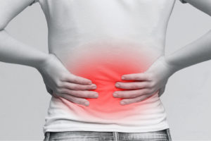 kidney