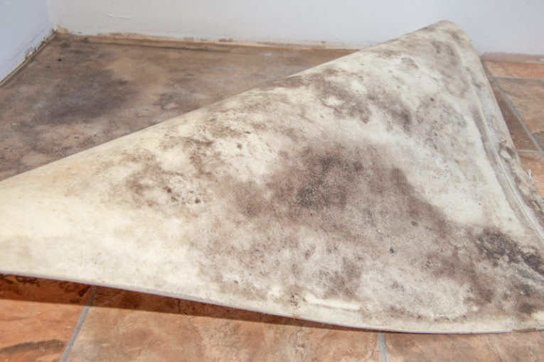 How to deal with damp in concrete floors Professional Builder