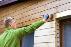 coloured wood preservers