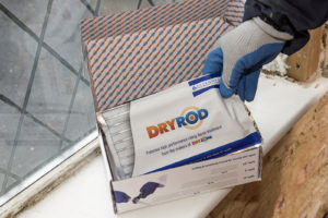 Dryrod damp-proofing rods