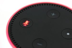 amazon echo