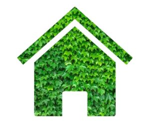 eco building