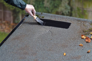roof seal