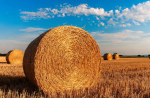 straw