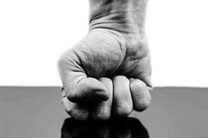 fist